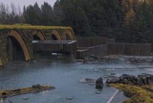 Рейкьявик: Золотое кольцо, лагуна Лаугарас и Фридхеймар