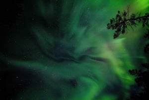 Reykjavik: Golden Circle & Northern Lights Tour