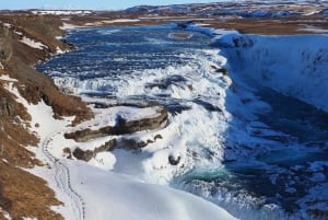 Reykjavik: Golden Circle Private Tour - One Day Adventure