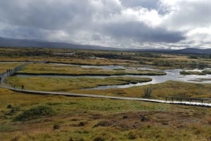 Reykjavik: Golden Circle Private Tour - One Day Adventure