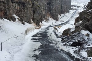 Reykjavik: Golden Circle -yksityiskierros piilotetuilla helmiäisillä