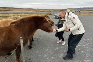 Reykjavik: Golden Circle Private Tour