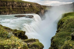 Reykjavik: Gyllene cirkeln Privat tur