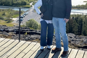 Reykjavik: Gyllene cirkeln Privat tur