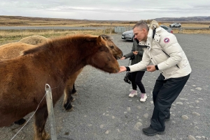 Reykjavik: Gyllene cirkeln Privat tur
