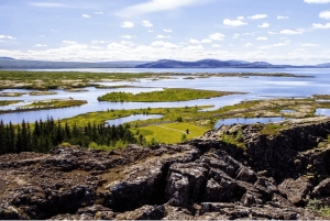 Reykjavík: Den Gyldne Cirkel Privat