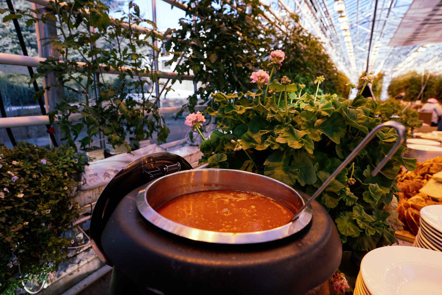 Рейкьявик: однодневная поездка по Золотому кольцу и тайной лагуне с обедом