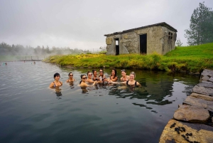 Рейкьявик: однодневная поездка по Золотому кольцу и тайной лагуне с обедом