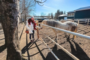 Рейкьявик: однодневная поездка по Золотому кольцу и тайной лагуне с обедом