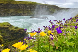 Рейкьявик: однодневная поездка по Золотому кольцу и тайной лагуне с обедом