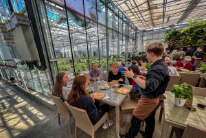 Рейкьявик: однодневная поездка по Золотому кольцу и тайной лагуне с обедом