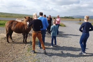 Reykjavik: Gyllene cirkeln: Gyllene cirkeln - landutflykt i liten grupp