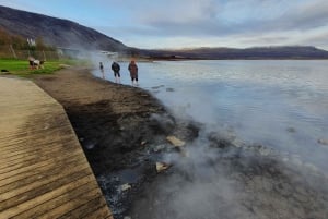 Reykjavik: Gyllene cirkeln: Gyllene cirkeln - landutflykt i liten grupp