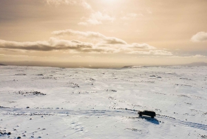 Reykjavik: Excursão de Super Jeep e Snowmobiling pelo Círculo Dourado