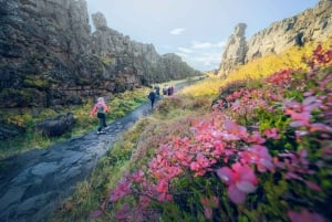 Reykjavik: tour del Circolo d'Oro e ingresso alla laguna di Laugarás