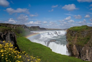 Reykjavik: tour del Circolo d'Oro e ingresso alla laguna di Laugarás