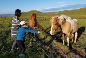 Reykjavik: Golden Circle Tour with Ice Cream & Horses