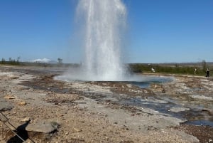 Reykjavik: Golden Circle Tour with Ice Cream & Horses