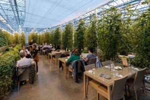 Reykjavik: Círculo Dourado com ingresso para a Fonte Laugarvatn