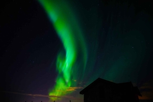 Reykjavík: Gruppe-nordlystur med billeder og varm kakao