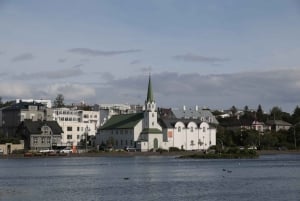 Reykjavik: Guidet byvandring