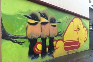 Reykjavik: Guidet byvandring