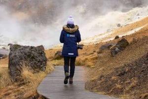 Reykjavik: Guided Tour to Volcano and Reykjanes Geopark