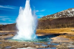 Reykjavík: Heiðmörk-Morgenwanderung + privater Golden Circle