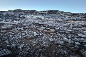 Reykjavík: Heiðmörk-Morgenwanderung + privater Golden Circle