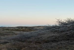 Reykjavík: Heiðmörk-Morgenwanderung + privater Golden Circle