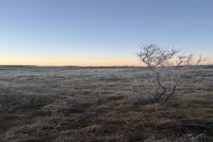 Reykjavík: Heiðmörk-Morgenwanderung + privater Golden Circle