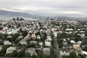 Reykjavik: Helicopter Tour Flying Over the City