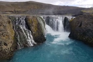 Reykjavik: dagtour met gids naar verborgen watervallen