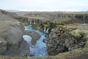 Reykjavik: dagtour met gids naar verborgen watervallen
