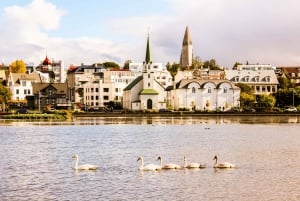 Reykjavik Highlights Self-Guided Scavenger Hunt & City Tour