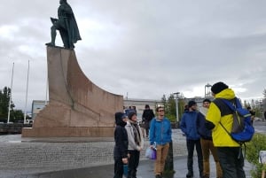 Reykjavík: Historical Walking Tour with Lunch