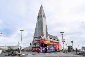 Reykjavík: Hop-On Hop-Off Bus and Perlan Museum Entry Ticket