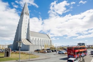 Reykjavik Hop-On Hop-Off Tour: 24 or 48-Hour Ticket
