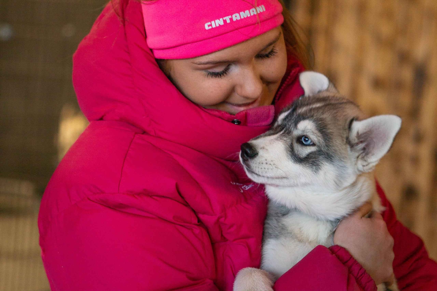 Reykjavík: Husky Kennel Visit with Hot Drinks