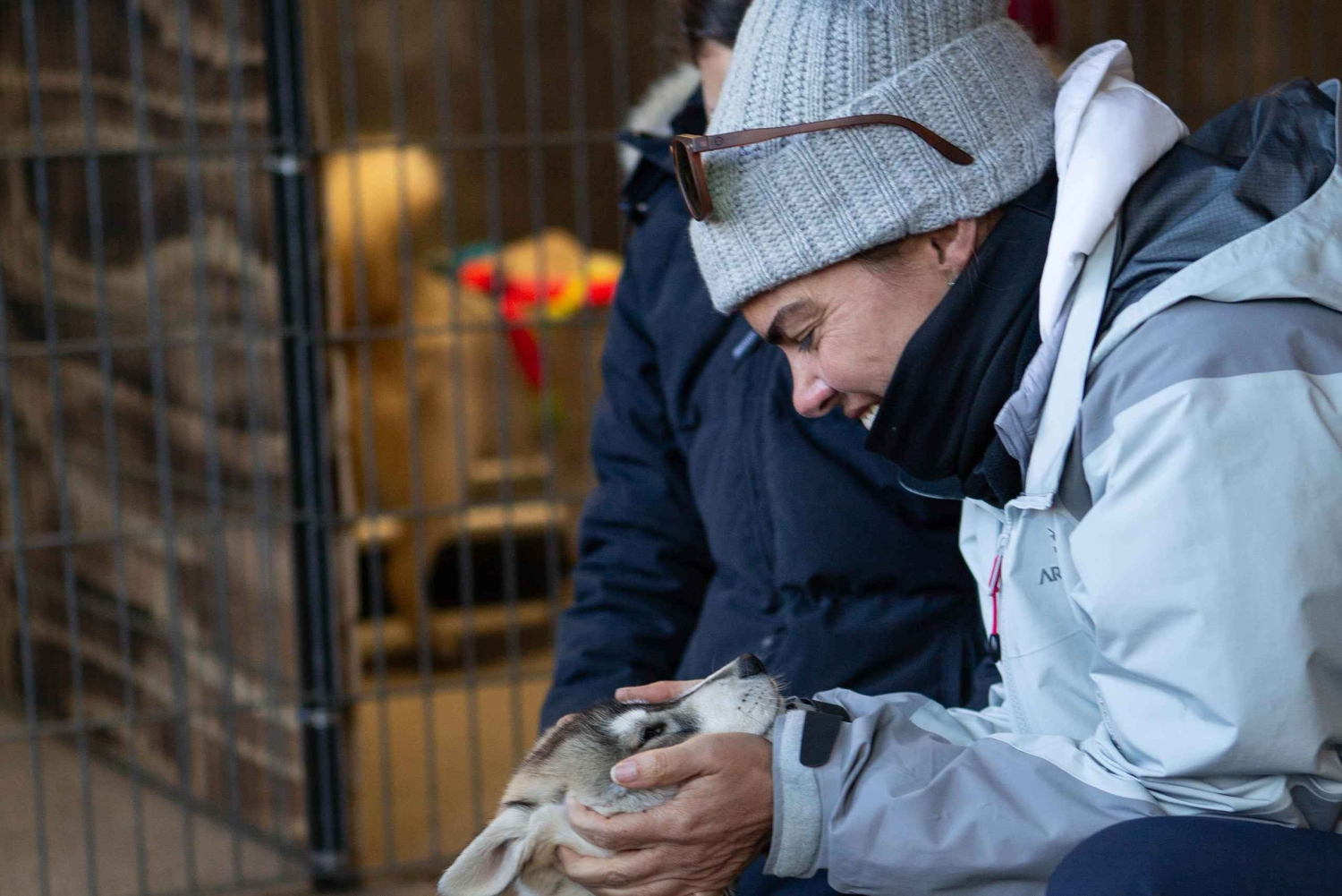 Reykjavík: Husky Kennel Visit with Hot Drinks