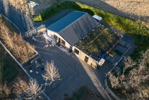 Reykjavík: Husky Kennel Visit with Hot Drinks