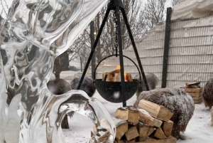 Reykjavík: Husky Kennel Visit with Hot Drinks