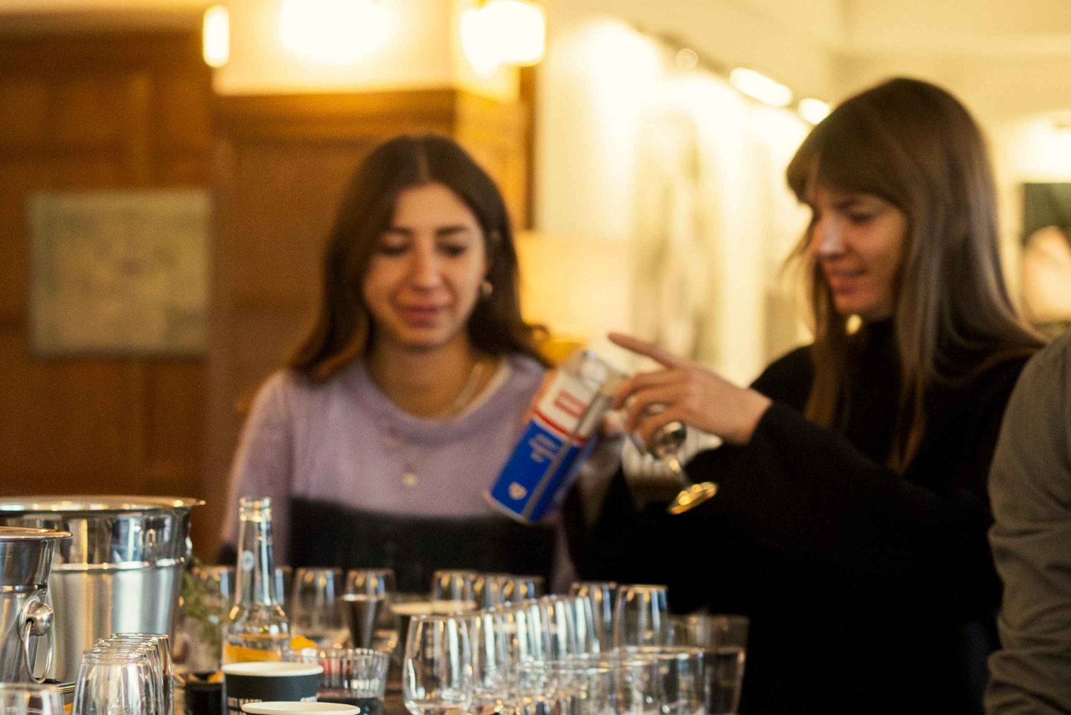 Reykjavik: Isländsk gin och tonic-workshop med provsmakning