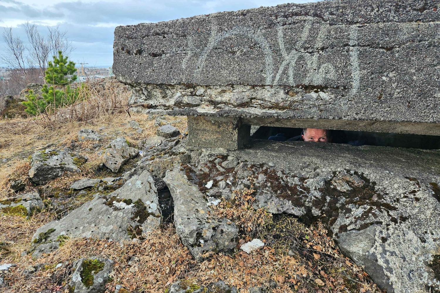 Reykjavik: O papel da Islândia na Segunda Guerra Mundial - Viagem privada de 1 dia