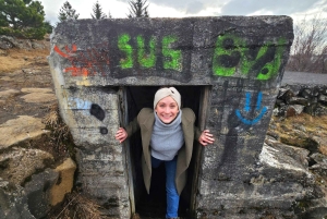 Reykjavik: O papel da Islândia na Segunda Guerra Mundial - Viagem privada de 1 dia