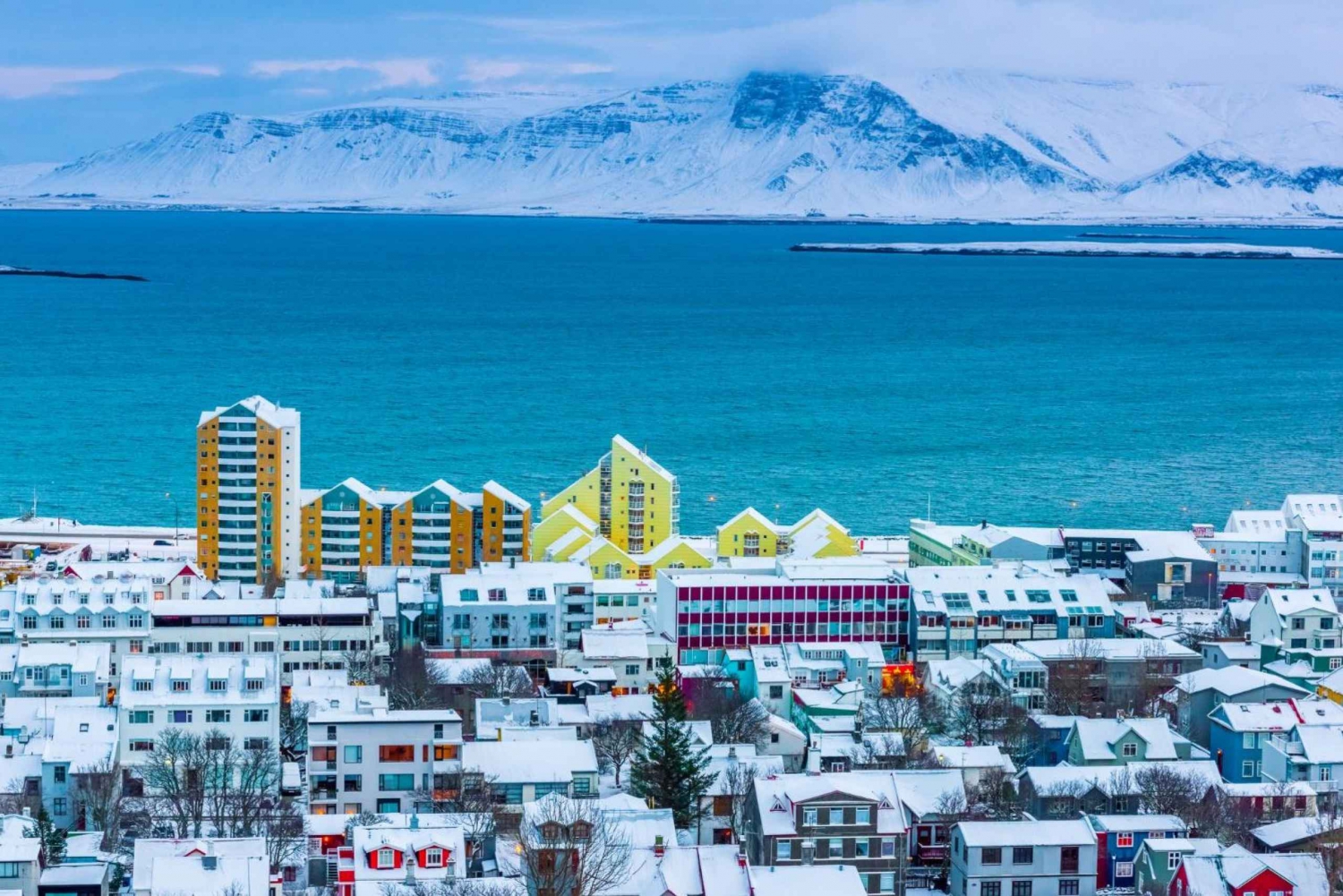 Reykjavik: Insta-Perfect Walk mit einem Einheimischen
