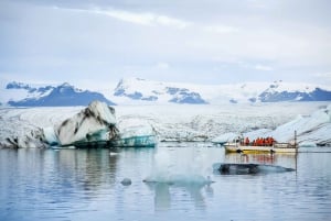 Reykjavik: Jökulsárlón glaciärlagun heldagsutflykt med guide