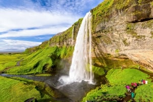 Reykjavik: Passeio guiado de dia inteiro à Lagoa da Geleira Jökulsárlón