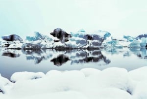 Reikiavik: Excursión guiada de un día a la Laguna Glaciar de Jökulsárlón