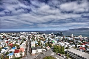 Reykjavik: Keflavik Private Airport Transfer